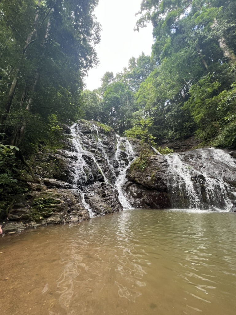 A forest waterfall flowing into a quiet pool in Costa Rica