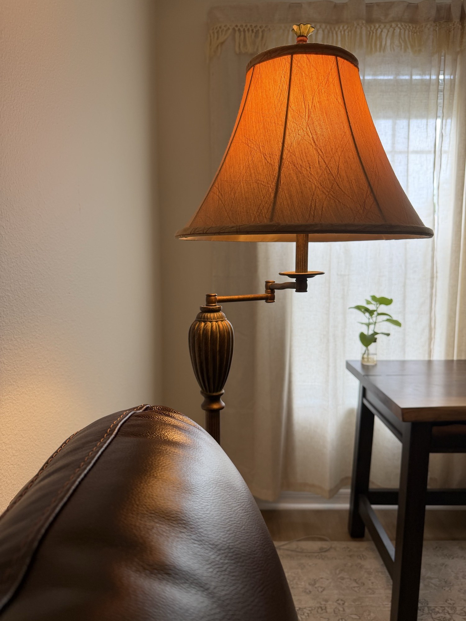Warm lamplight, a wooden desk and a small plant in Luis’s home office